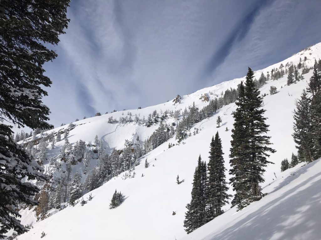 Alps Snow Buckrail - Jackson Hole, news