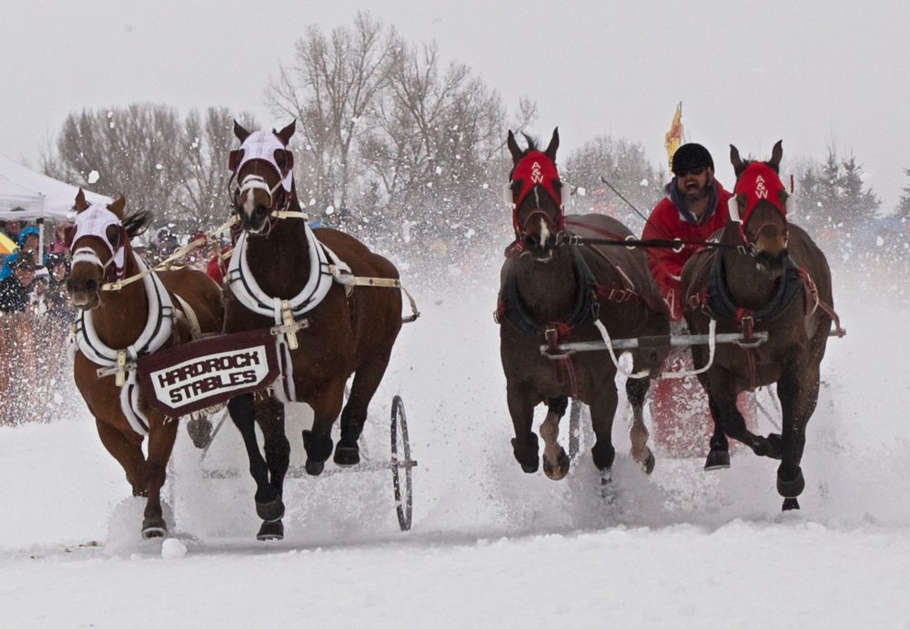 Cutters cancelled but the beat goes on Racing Stallion Buckrail - Jackson Hole, news