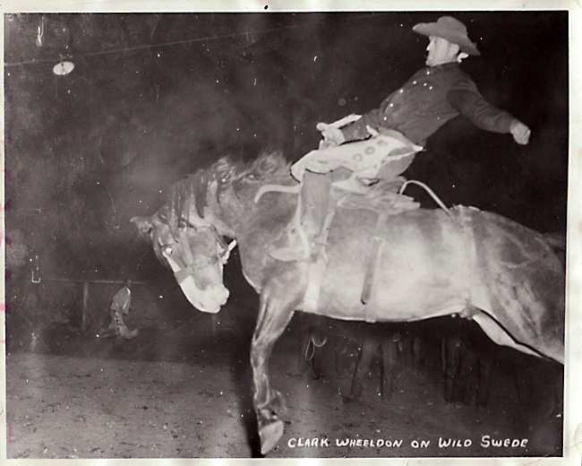 Last Week's Local Heroes Horse Vertebrate Buckrail - Jackson Hole, news