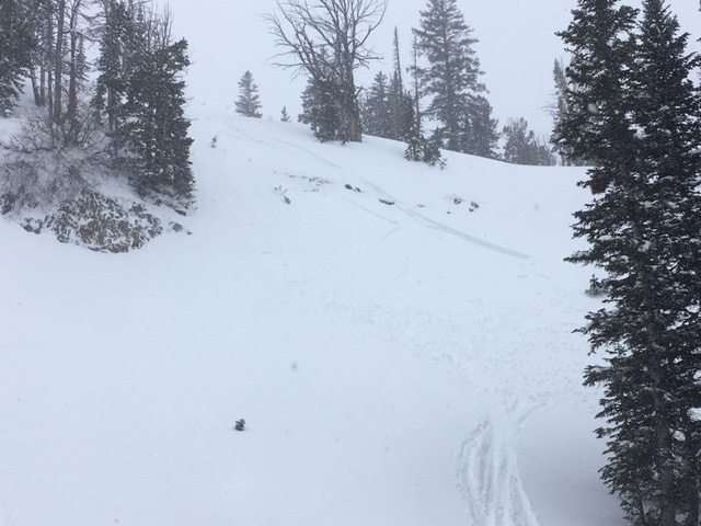 Snow Winter weather advisory Buckrail - Jackson Hole, news