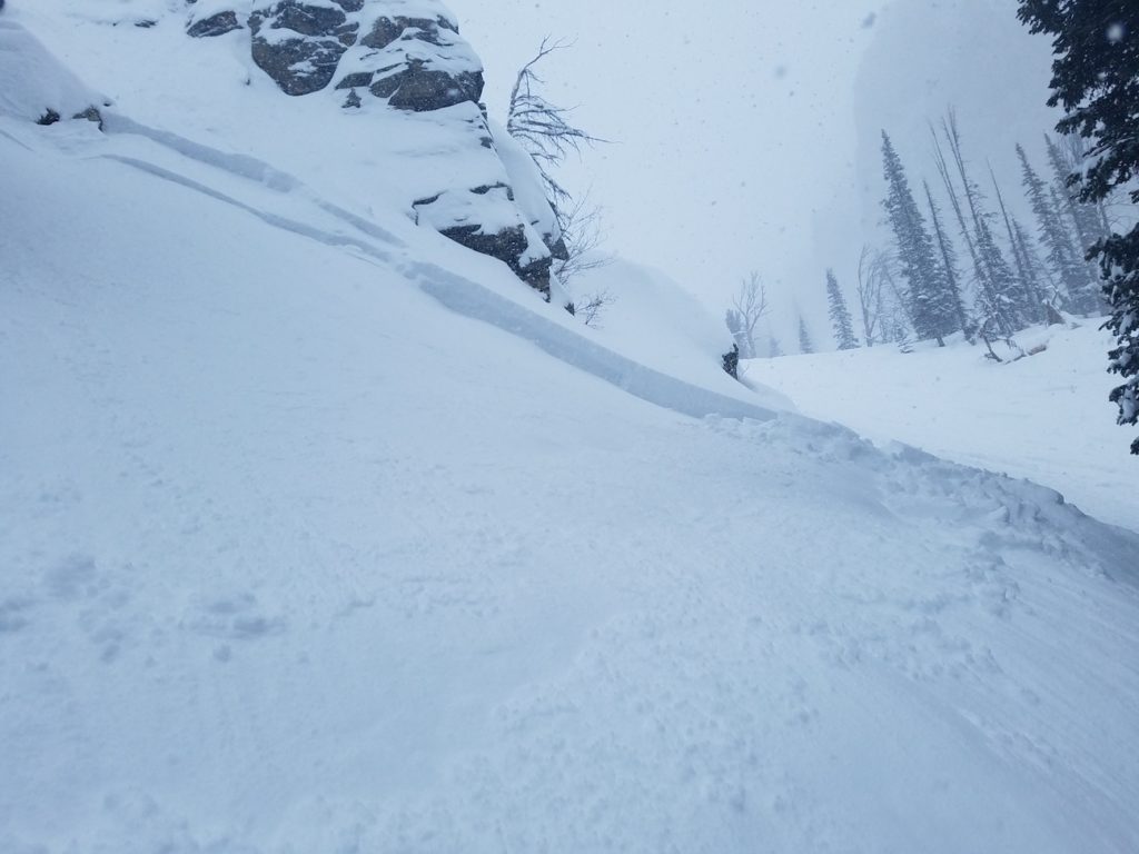 09738 Ski mountaineering Buckrail - Jackson Hole, news