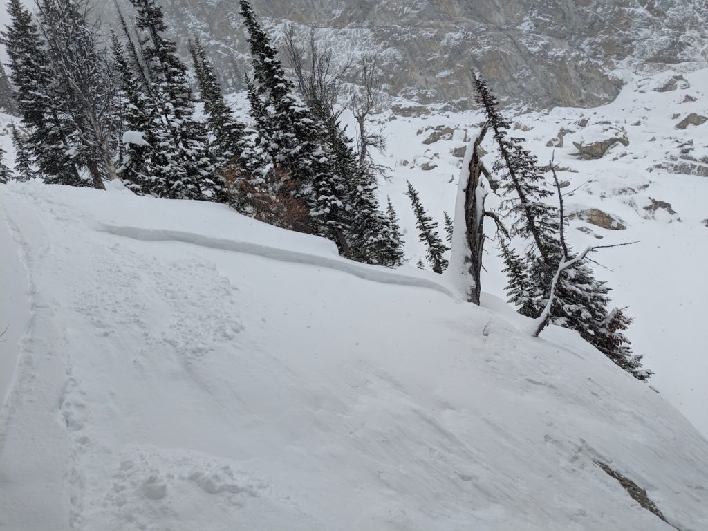 Snow Winter weather advisory Buckrail - Jackson Hole, news