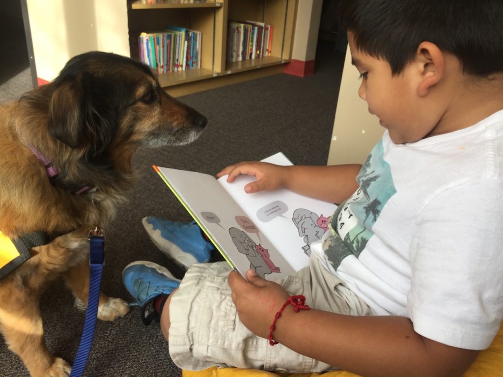 Tail-waggin’ tutors are helping kids read Dog Dog breed Buckrail - Jackson Hole, news