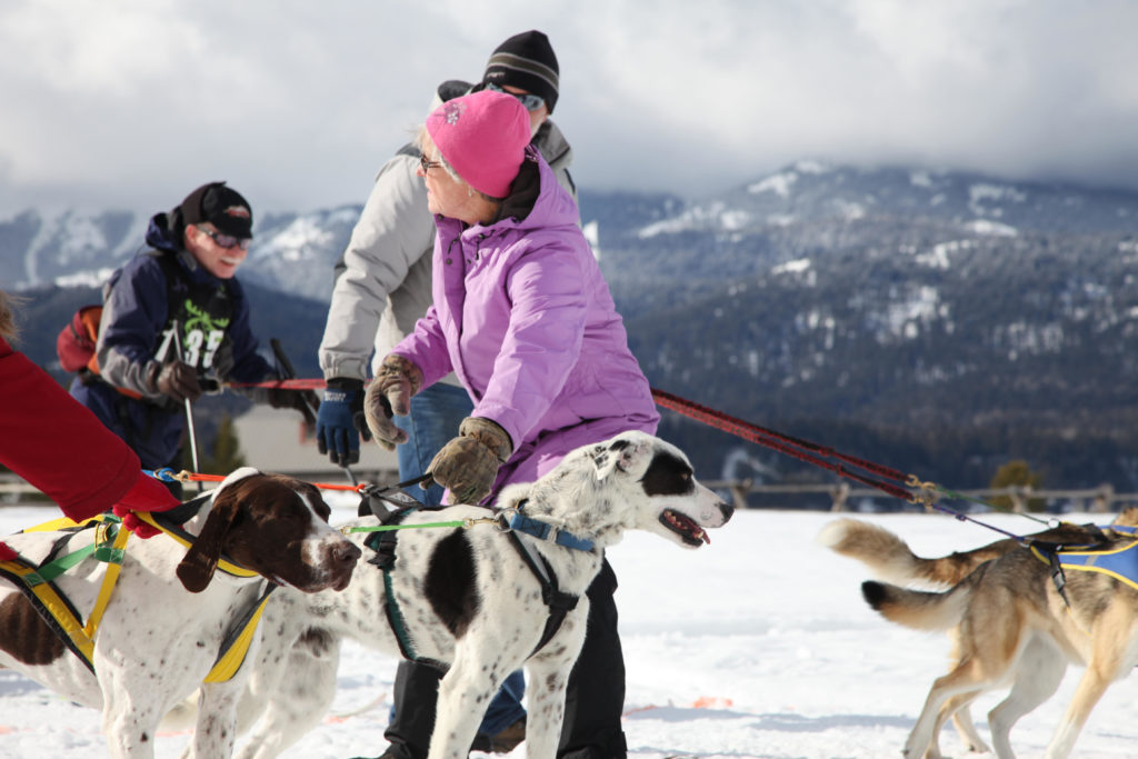 Skijoring Dog Buckrail - Jackson Hole, news