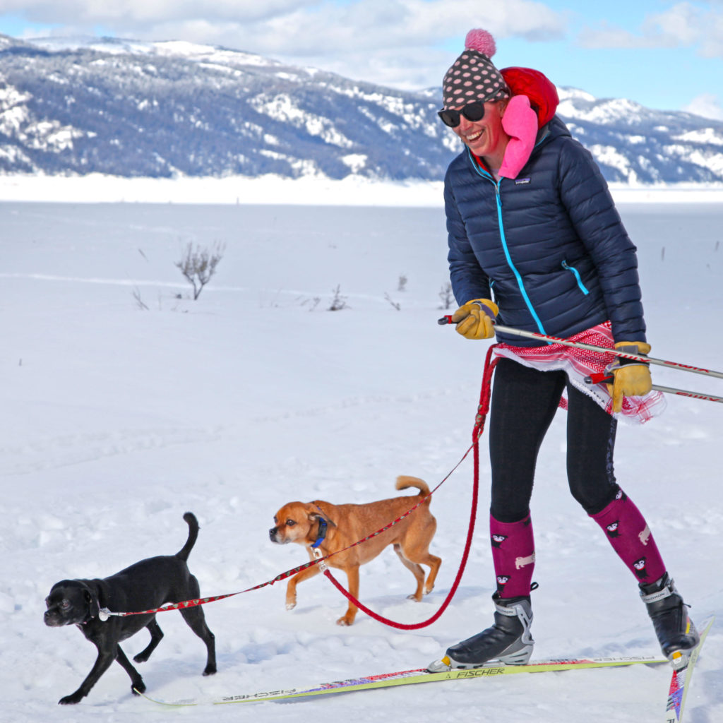 Dog Skiing Buckrail - Jackson Hole, news