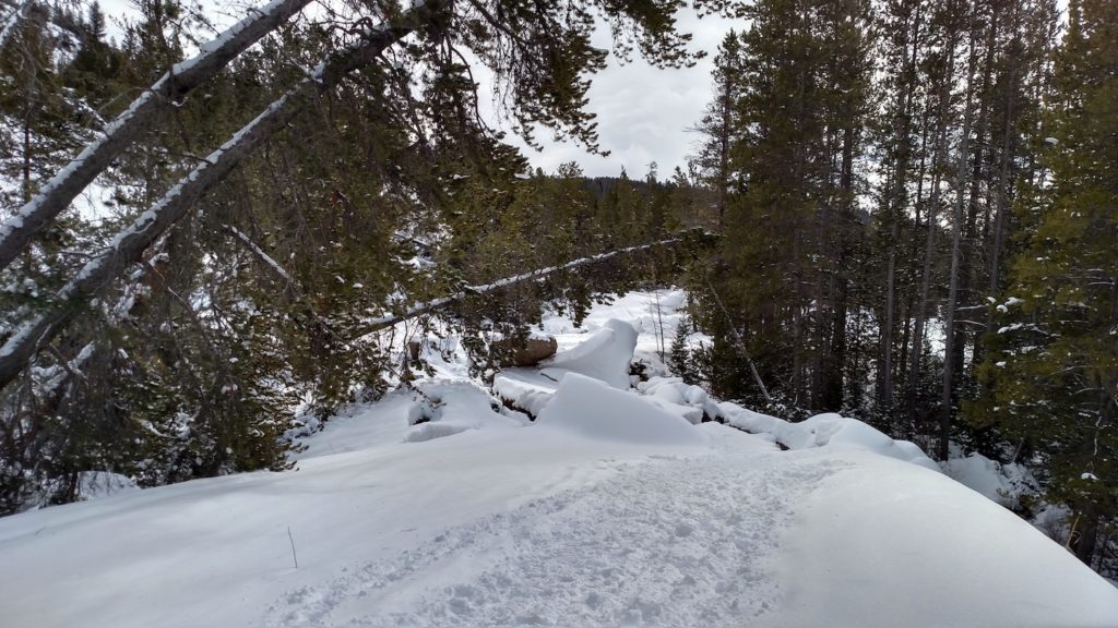 Alpine Greys River Buckrail - Jackson Hole, news