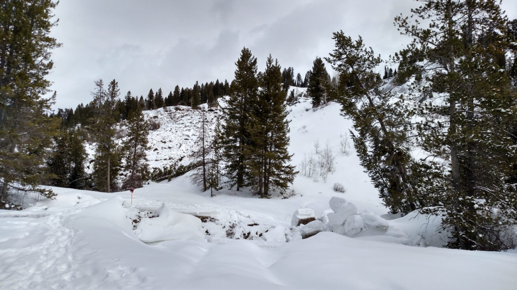 Snow Wyoming Buckrail - Jackson Hole, news
