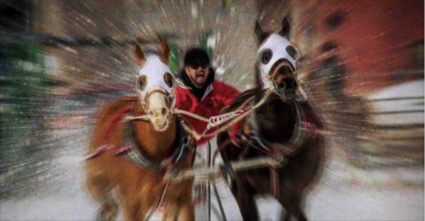 Shriners call off winter carnival Samsung American Paint Horse Buckrail - Jackson Hole, news