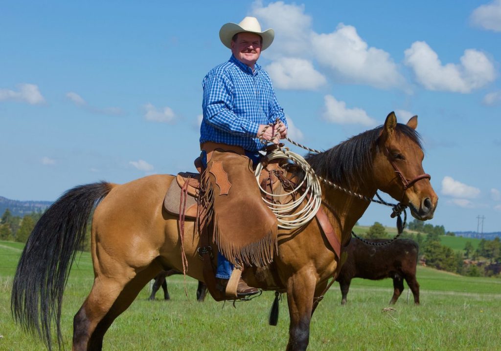 Christensen endorsed by Wyoming Realtors for treasurer Western pleasure Stallion Buckrail - Jackson Hole, news