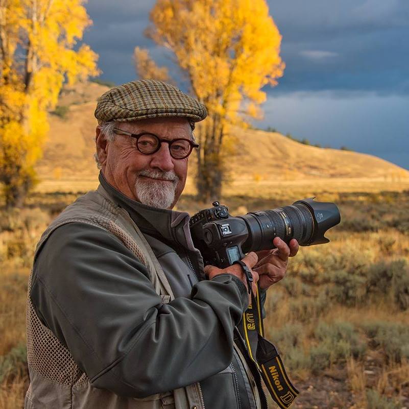 Wildlife photographer Tom Mangelsen draws grizzly tag, says he won't bring a gun on the hunt Thomas D. Mangelsen Grizzly bear Buckrail - Jackson Hole, news