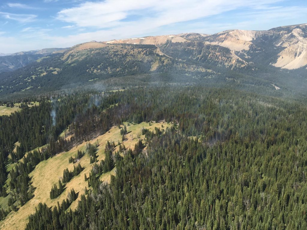 Yellowstone ups fire danger to ‘HIGH’ after weeks with no rain   Buckrail - Jackson Hole, news