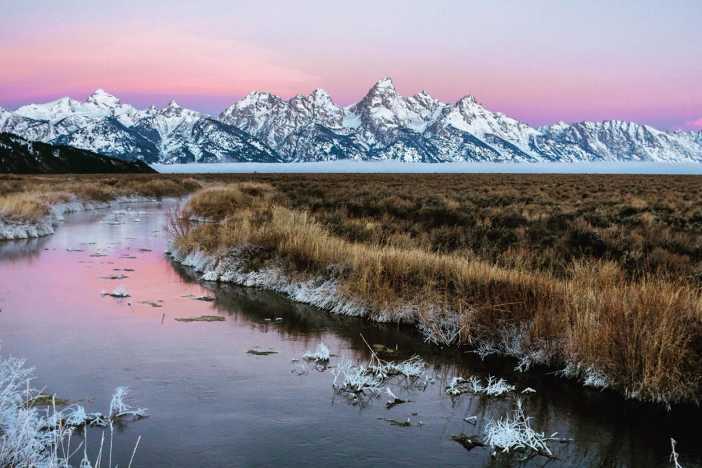 Early morning in Grand Teton National Park. Photo: Madison Webb
