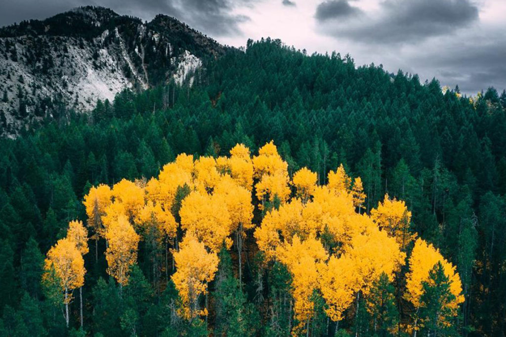 Standing out. Photo: Sam Cook
