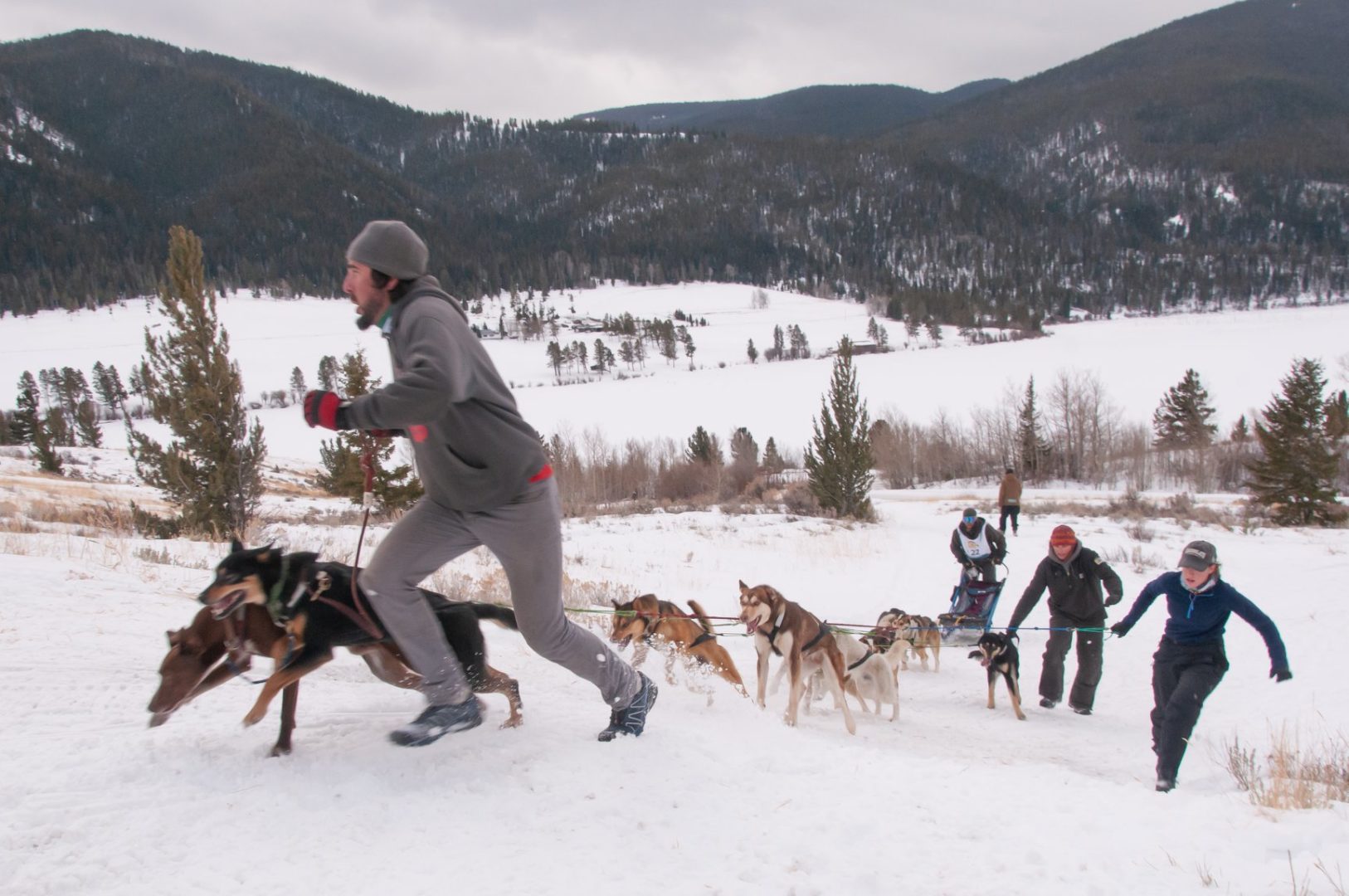 Tim Thiessen's team gets started up the first hill in the Gros Ventre. (Pedigree Stage Stop Race)