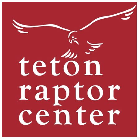 Nonprofit - Teton Raptor Center
