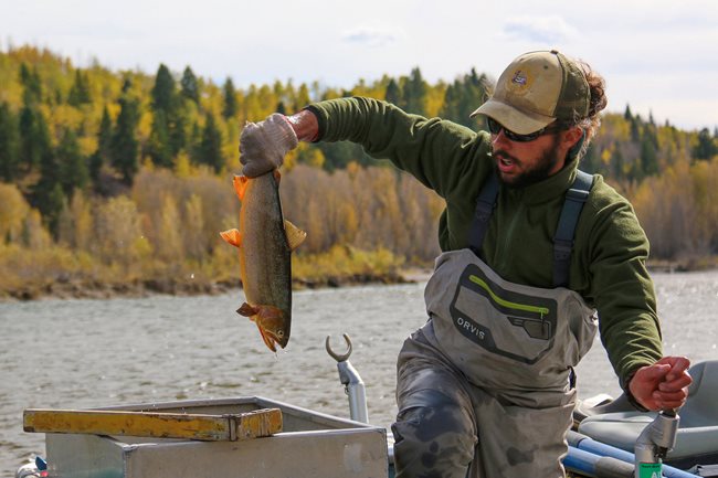 Snake River - Recreational fishing