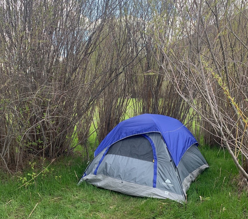 Camping - Buckrail