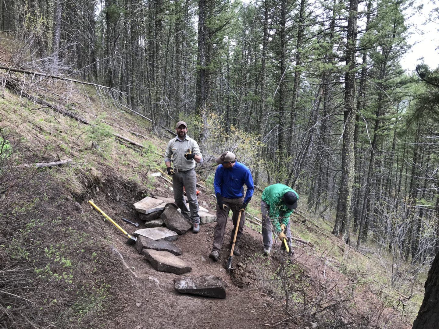 Bridger-Teton National Forest - United States Forest Service