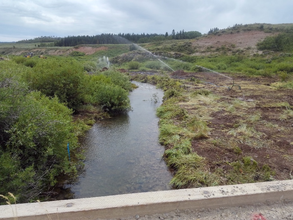After: Channel has been narrowed and elevated, with improved floodplain connectivity, and sodmats added to the banks. Sprinklers help the vegetation establish. Photo: CTNF