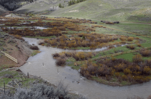 Before: Over-widened channel with cutoff meander bend. Cattle exclusion fence installed in 2018. Photo: TU