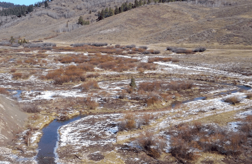 After: Same area, with channel cut-off plugged, and meander reconnected and narrowed. Photo: CTNF