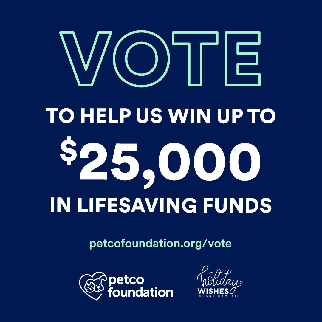 votegraphic