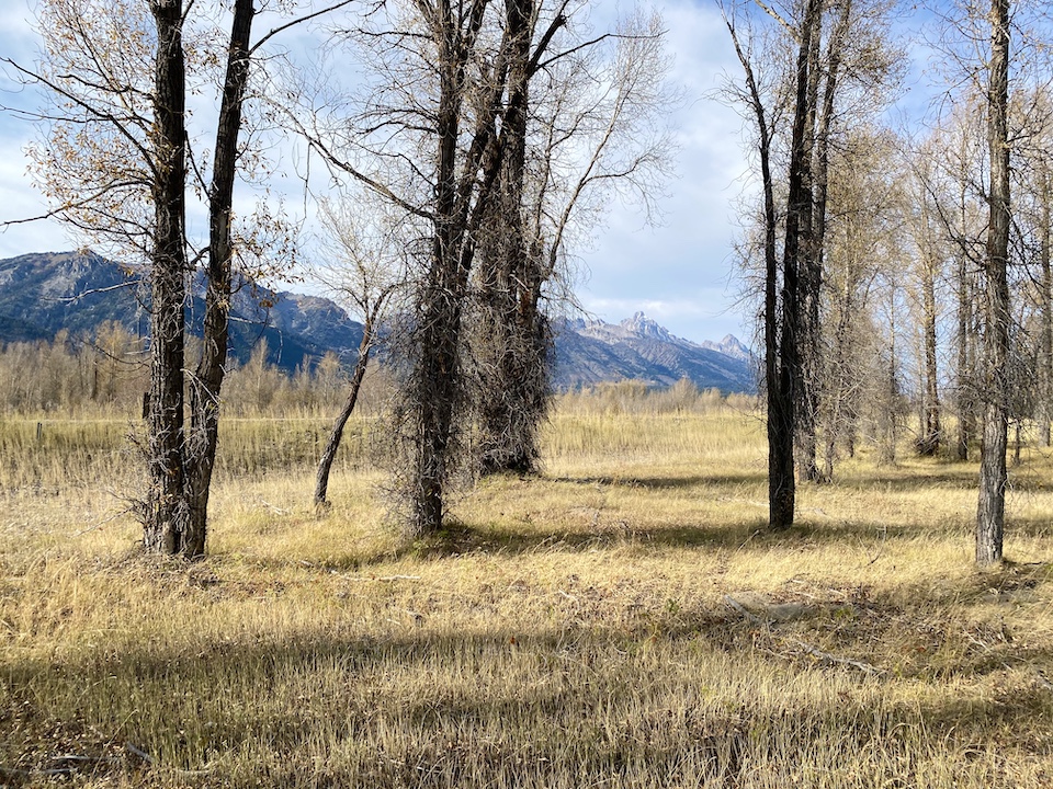 2-Grand Teton Views