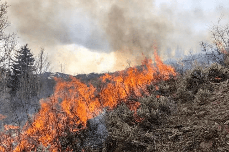 Taylor Mountain prescribed burn. Photo: EJ Brooks