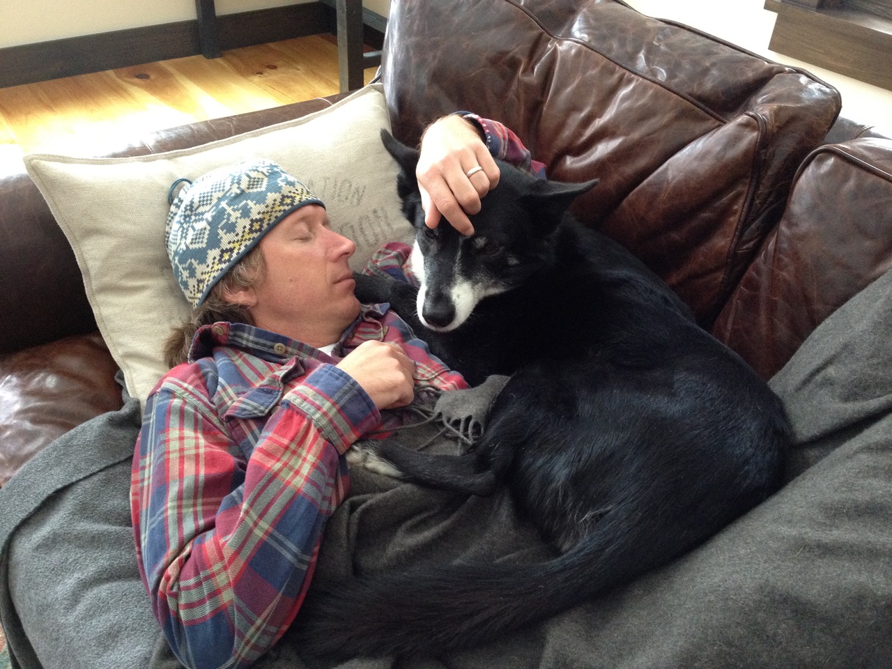 Flash, fully recovered, enjoying nap time with Tom. Photo: AAC