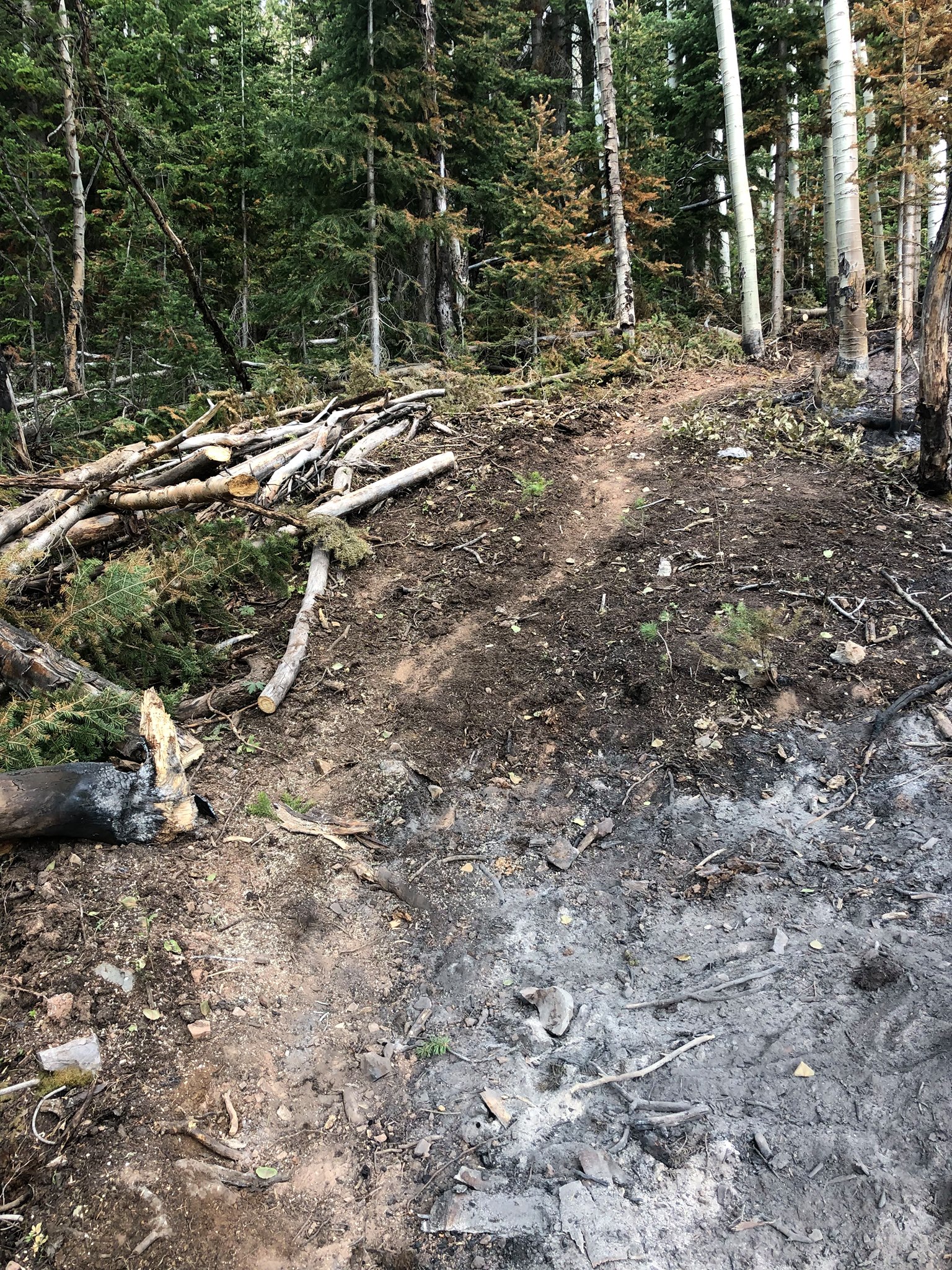 An area of line construction before rehab. Photo: Courtesy of U.S.F.S.