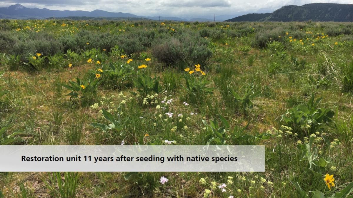Courtesy NPS