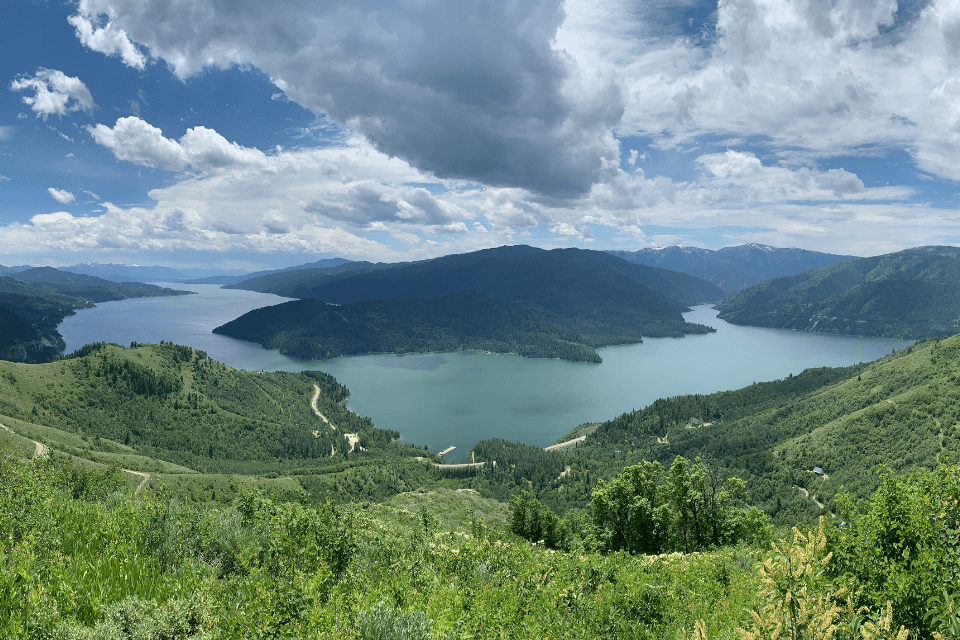 The Palisades in May of 2021. Photo: Nick Sulzer // Buckrail