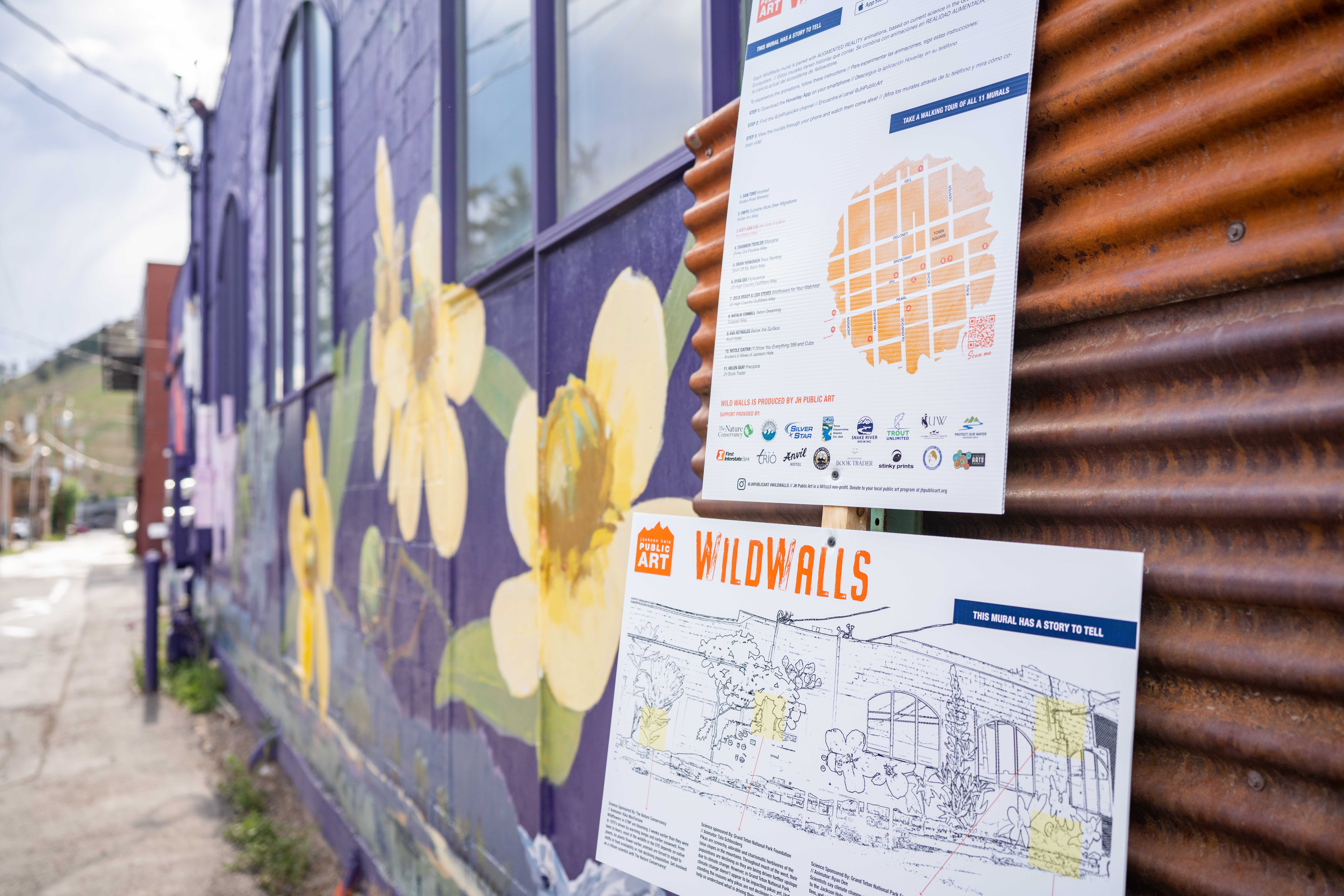 WildWalls_PhotoSamPope