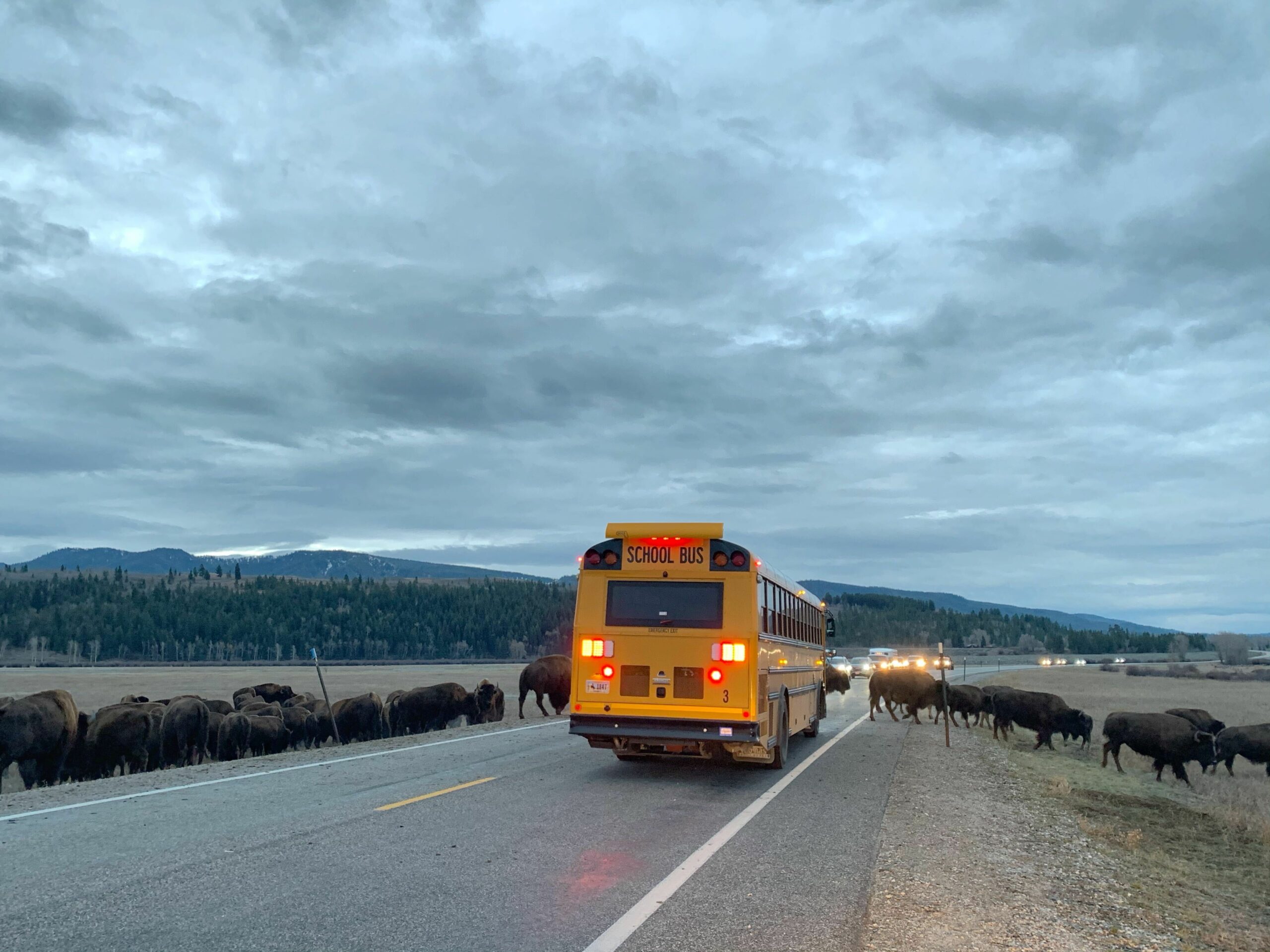 Photo: Nick Sulzer // Buckrail