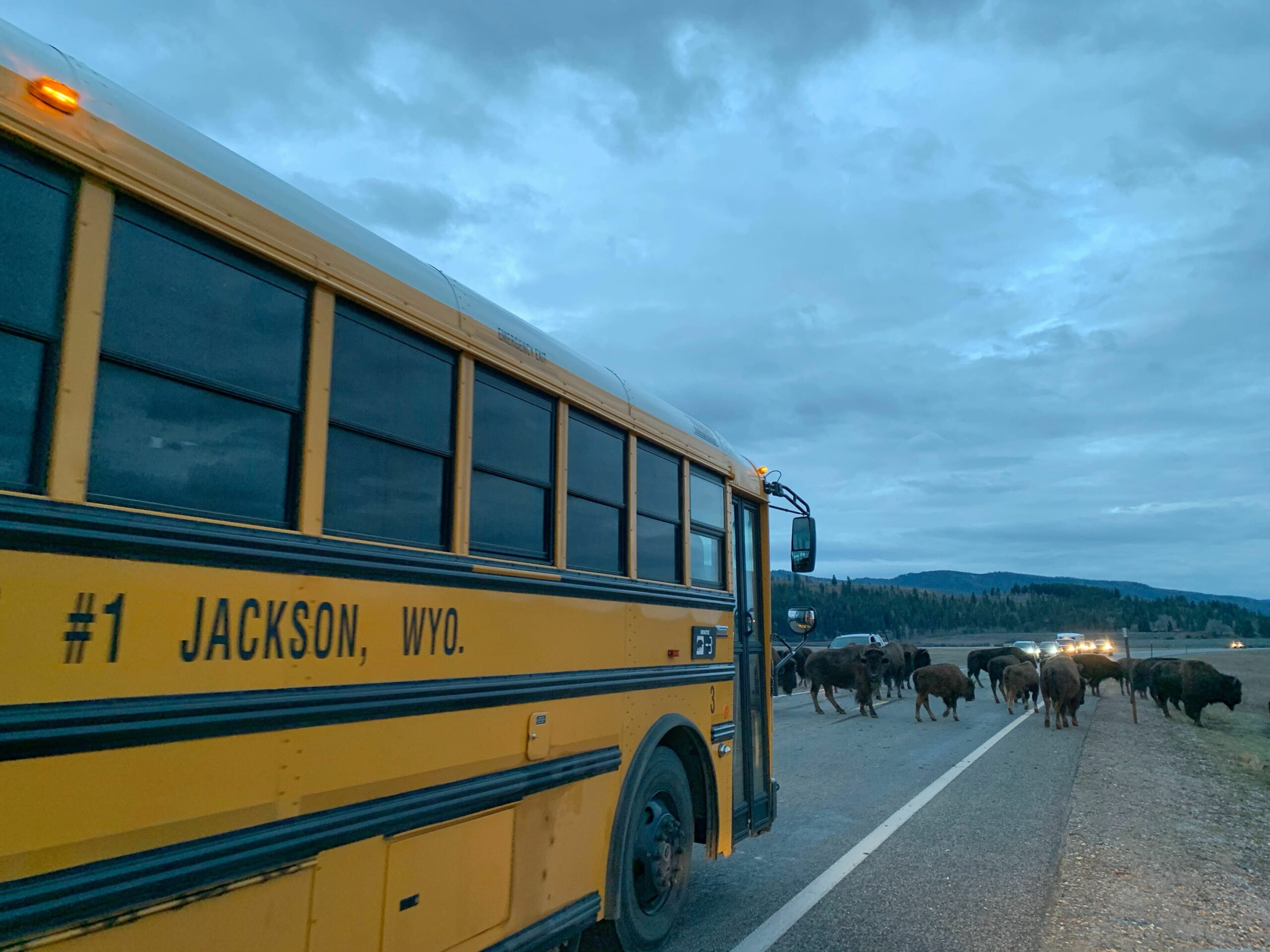 Photo: Nick Sulzer // Buckrail