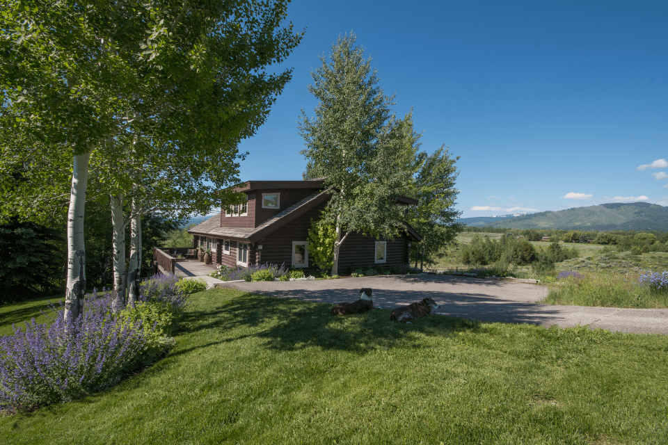 Untitled design (65)