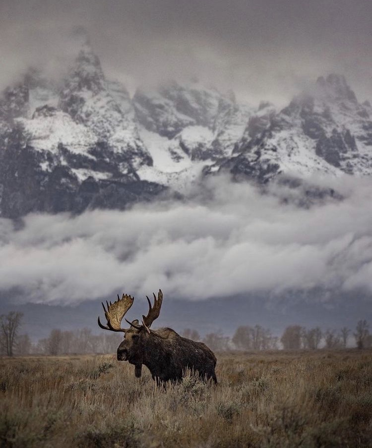 Photo: Jeremy // @tetonmountainman