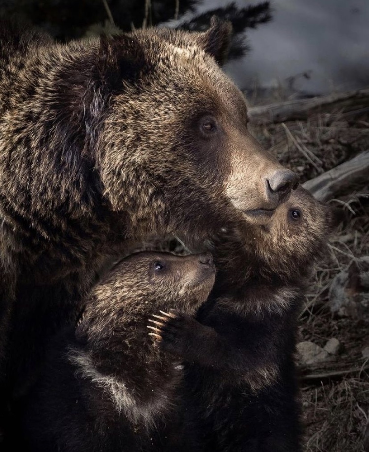 Photo: Arthur Lefo // @arthurlefo