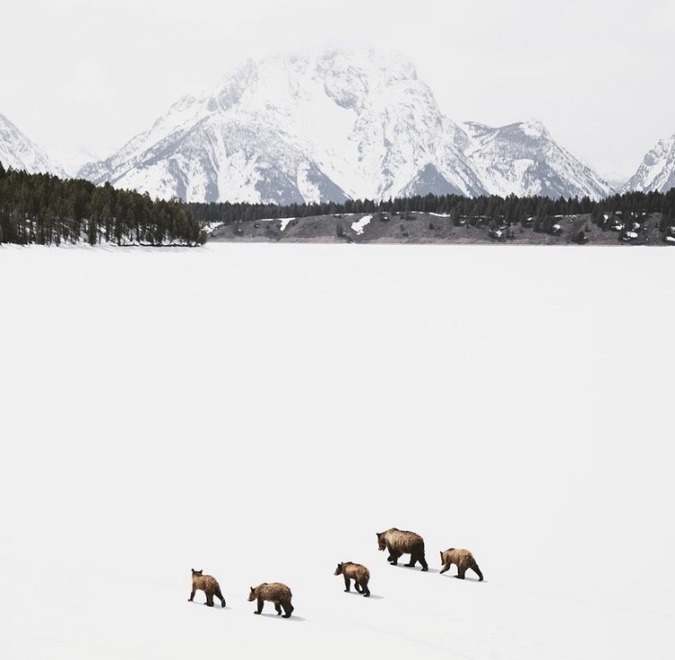 Photo: Nick Sulzer // @nick.sulzer