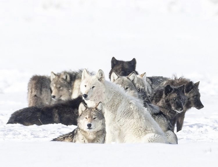 Photo: Trent Sizemore // @trentsizemore