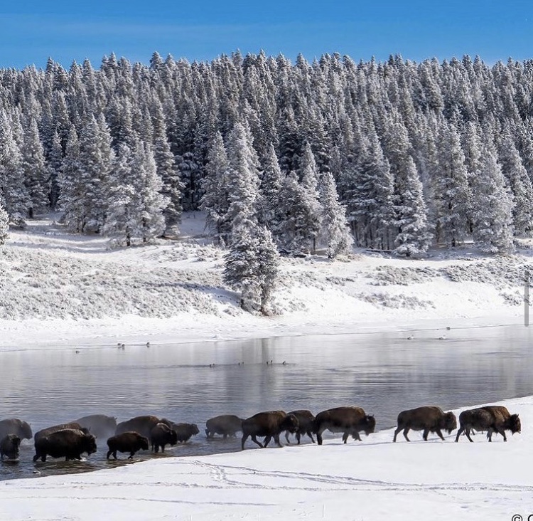 Photo: T.L Wilson // @chasingfocusphotography