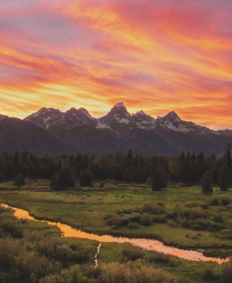 Photo: Julie Brown // @juliewbrown_