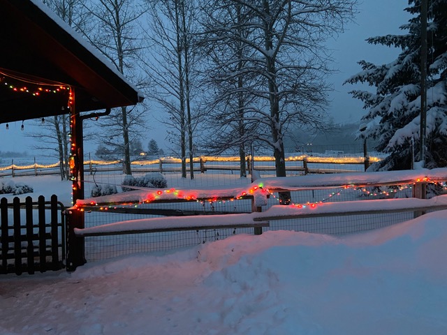 Holiday lights in Etna, Wyoming . Photo: Nancy Winters