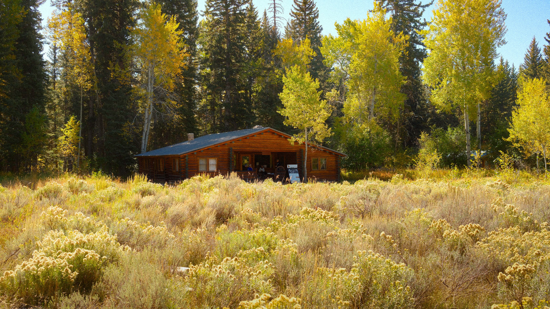 Teton Science Schools to host Murie Ranch Art Festival Oct. 9 to 11