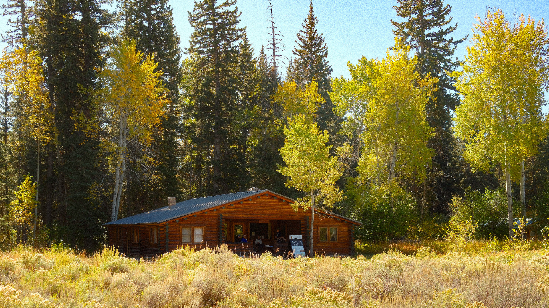 Murie Spirit of Conservation Awards to honor Nancy Shea, Arthur Middleton