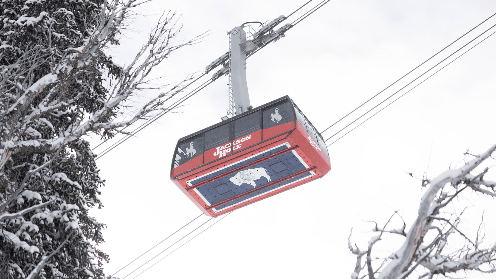 Jackson Hole Mountain Resort season pass sale extended through this Friday!