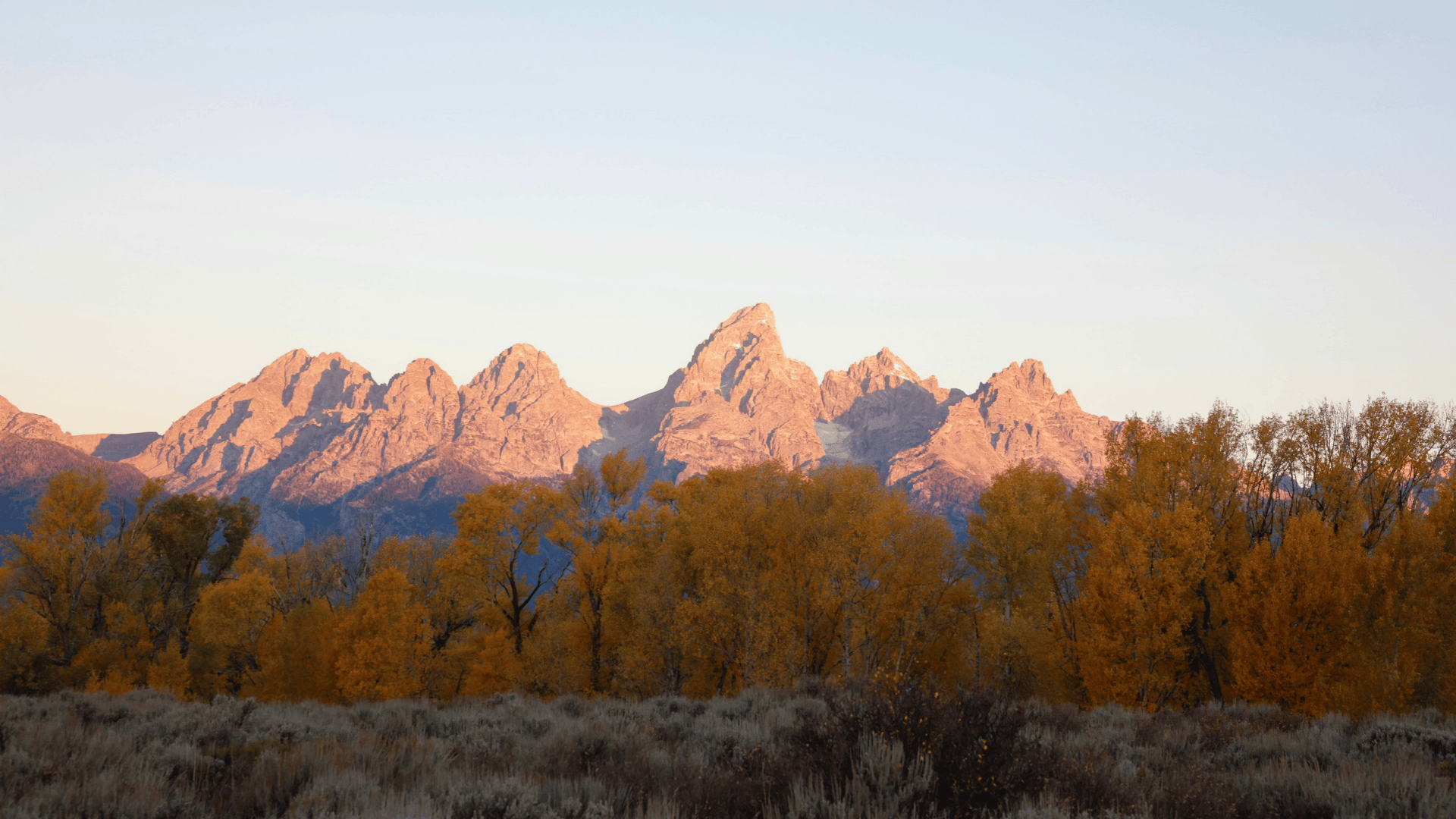 Explainer: What’s Prop 1, and how does it affect Wyoming and Teton County?