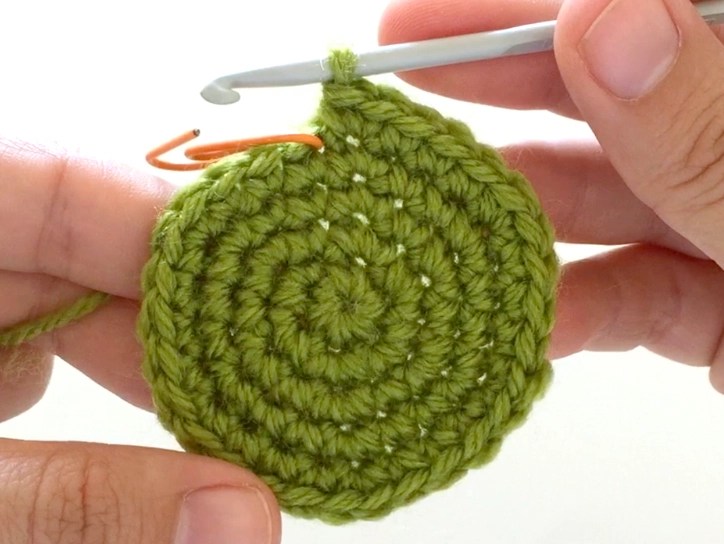 Woman's hands holding up a crocheted flat circle
