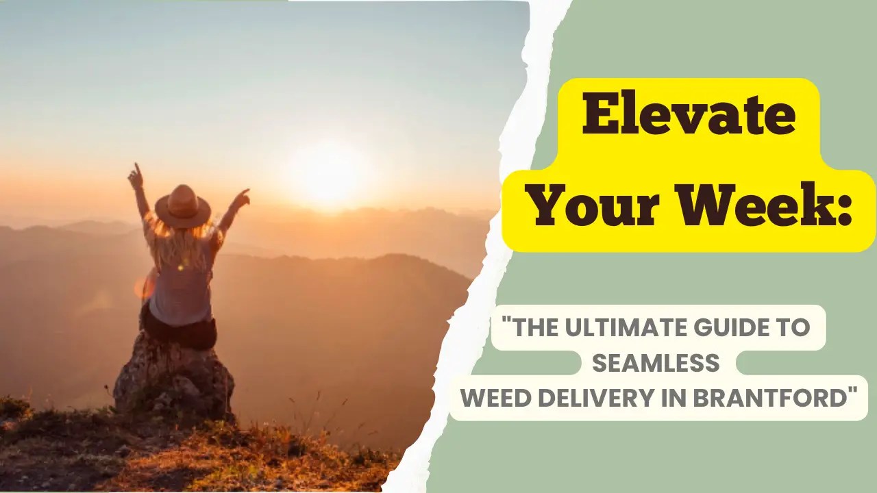 Elevate Your Week The Ultimate Guide to Seamless Weed Delivery in Brantford