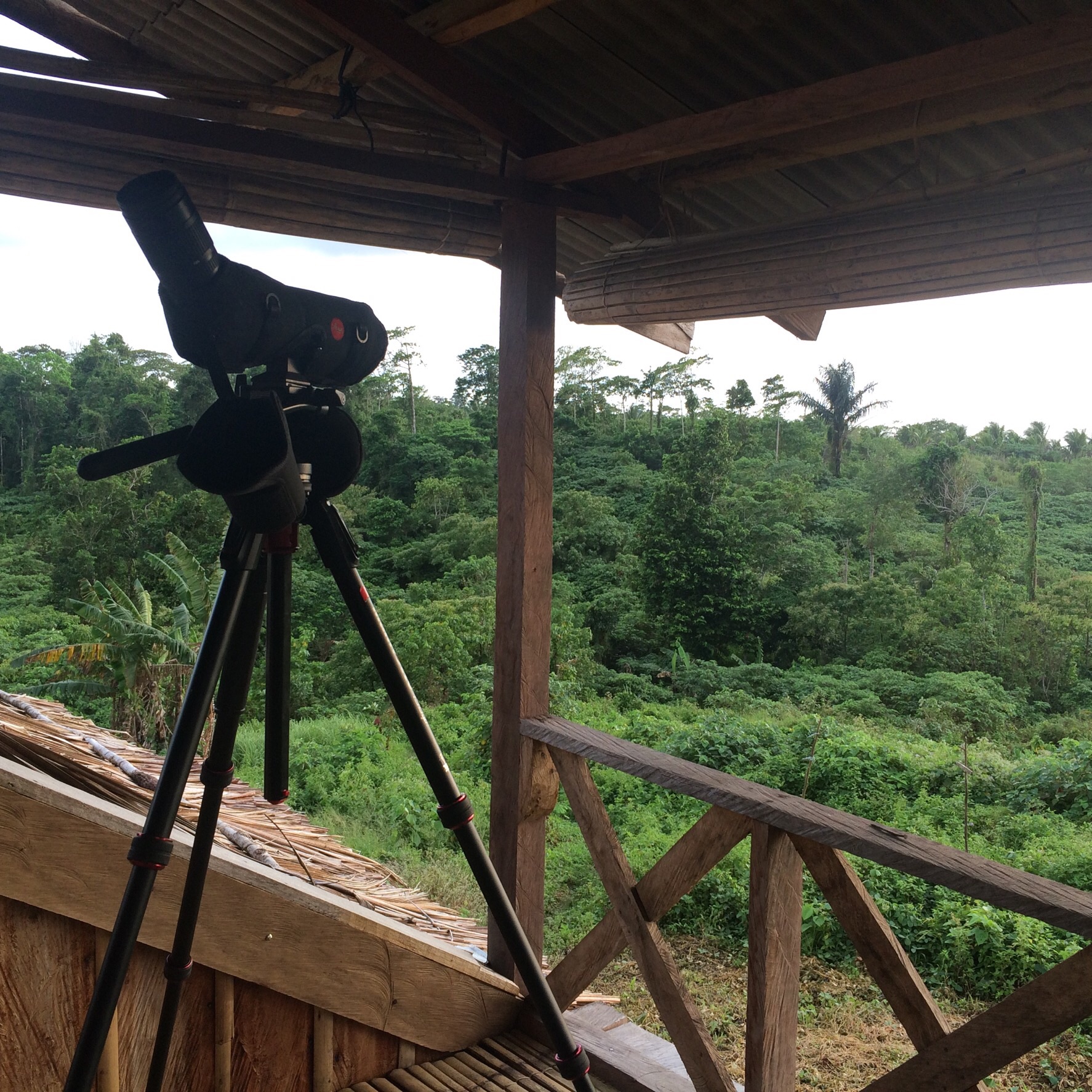 View from platform on research station